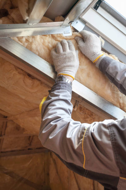 Best Residential Insulation in Darnestown, MD