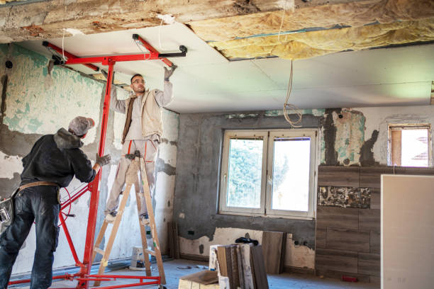 Best Cellulose Insulation in Darnestown, MD