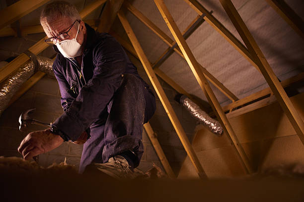 Types of Insulation We Offer in Darnestown, MD